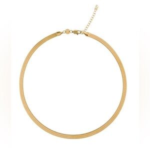 NWT Jennifer Zeuner Hamilton gold herringbone chain necklace